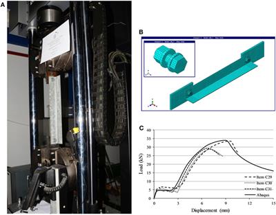 Experimental and Numerical Study on Single-Bolted Cold-Formed Angles under Tension and Compression